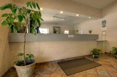 Edinburg Executive Inn Extérieur photo